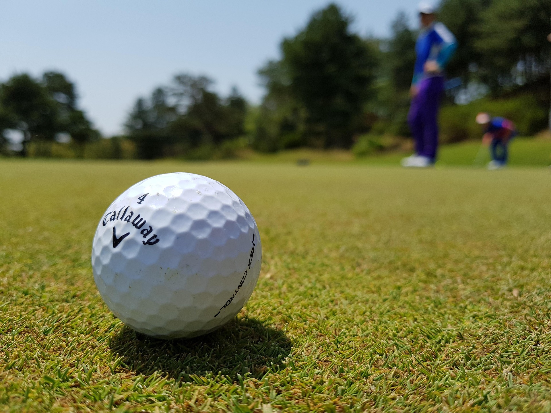Golf House tournament golf ball on the green